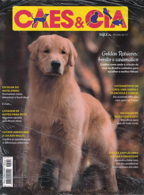 Cães e Cia Nº 511 - Golden Retriever: Bonito e Carismático
