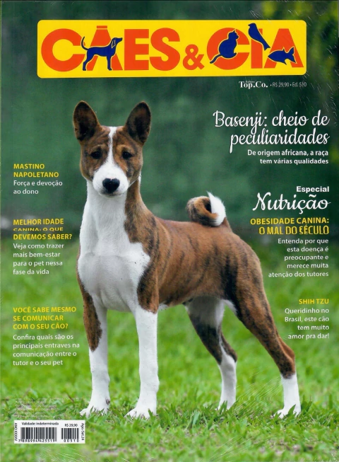 Cães e Cia Nº 510 - Basenji / Mastino Napolitano / Shih Tzu