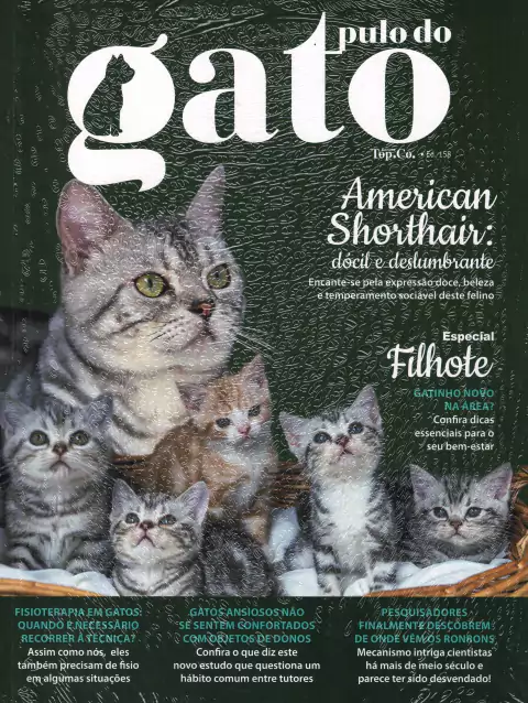 Cães e Cia Nº 508 - Lhasa Apso / Pulo do Gato Nº 158 - American Shorthair