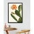 cacto quadro