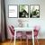 kit quadros plantas