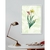 quadros florais para quarto