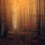 tecido de parede paisagem floresta still