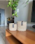Kit de cachepôs para plantas de sisal e juta P e M - Cheiro de Verde