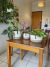 Kit cachepôs para plantas de sisal, juta e algodão, P, M e para vasos cuia