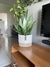 Cachepô para plantas de sisal, juta e algodão G para vasos de até 24 cm de diâmetro - comprar online