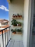 Jardim vertical prateleira com 3 andares