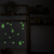ANIMALES NOCTURNOS en internet