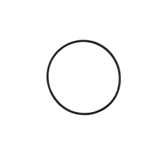O-Ring - 2814404000