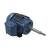 Motor Elétrico de Indução Weg 1045222002 3 CV 220 / 380V 3F 60Hz 5,0 / 2,9 A 1125 RPM - HLD40105A