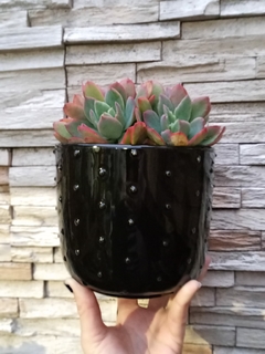 MACETA PUPITOS ARTESANAL DE TORNO / TIENE DRENAJE - NO INCLUYE PLANTAS en internet