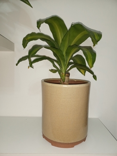 MACETA CILINDRICA DE TORNO ALTA EN GRES, CON ESMALTES CARAMEL FUSIONADOS / EXCELENTES DETALLES DE TERMINACION - TIENE DRENAJE / SIN PLANTA