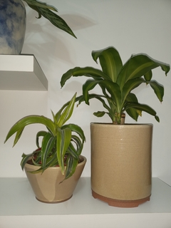 MACETA CILINDRICA DE TORNO ALTA EN GRES, CON ESMALTES CARAMEL FUSIONADOS / EXCELENTES DETALLES DE TERMINACION - TIENE DRENAJE / SIN PLANTA - Alquimia Botanica de Autor