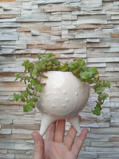 MACETA SPUTNIK BOCHA ESGRAFIADA CON PATITAS / PIEZAS ARTESANALES - TIENEN DRENAJE / NO INCLUYE PLANTAS - Alquimia Botanica de Autor