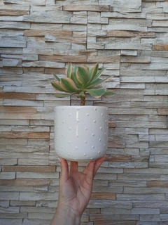 MACETA PUPITOS ARTESANAL DE TORNO / TIENE DRENAJE - NO INCLUYE PLANTAS - tienda online
