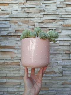 Imagen de MACETA PUPITOS ARTESANAL DE TORNO / TIENE DRENAJE - NO INCLUYE PLANTAS