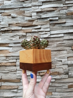 MACETAS CUBO EN MADERAS COMBINADAS / PIEZAS ARTESANALES UNICAS - TIENEN DRENAJE/ IMPERMEHABILIZADAS POR DENTRO Y POR FUERA /PRECIO X UNIDAD - comprar online