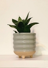 MACETA GLAUCO MINIMALISTA CON DISEÑO DE ONDAS Y PATITAS, DIVINA!! / TIENE DRENAJE - NO INCLUYE PLANTAS / PR4ECIO POR UNIDAD