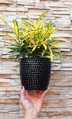 lMACETA DISEÑO POCITOS / PIEZA ARTESANAL - TIENE DRENAJE / NO ICLUYE PLANTAS / PRECIO POR UNIDAD - Alquimia Botanica de Autor