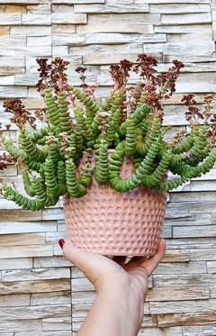 Imagen de lMACETA DISEÑO POCITOS / PIEZA ARTESANAL - TIENE DRENAJE / NO ICLUYE PLANTAS / PRECIO POR UNIDAD