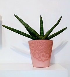 MACETAS ARTESANALES DISEÑO GIRASOL ESGRAFIADO / PIEZAS UNICAS / TIENEN DRENAJE / VALOR POR UNIDAD en internet