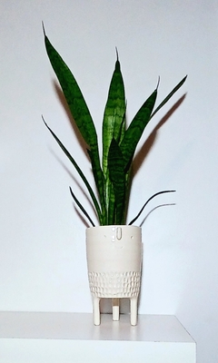 MACETA ARTESANAL PERSONAJE CON PATITAS / TIENE DRENAJE / NO INCLUYE PLANTAS - Alquimia Botanica de Autor