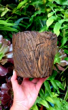 MACETA ARTESANAL CON DISEÑO CORTEZA DE ARBOL MUY BELLA!! / TIENE DRENAJE
