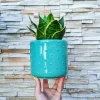 MACETA PUPITOS ARTESANAL DE TORNO / TIENE DRENAJE - NO INCLUYE PLANTAS - comprar online