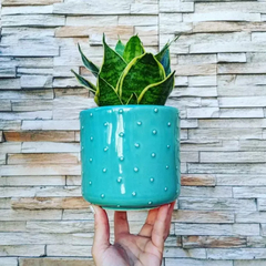 MACETA PUPITOS ARTESANAL DE TORNO / TIENE DRENAJE - NO INCLUYE PLANTAS - comprar online