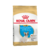 Royal canin Bulldog Frances cachorro