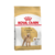 Royal canin Caniche adulto