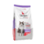 Sieger Katze Sterilized