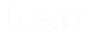 Luemi Boutique 