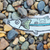 Sticker Clear Pejerrey en internet