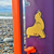 Sticker Clear Lobo Marino - Tinte Patagónico