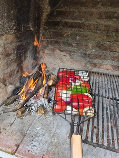 Grillera Verduras XXL + Provoletera de 19 cavidades - VientosdeCórdoba