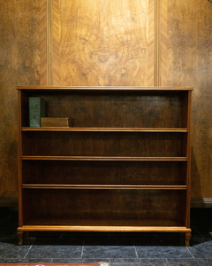 Biblioteca enana francesa - comprar online