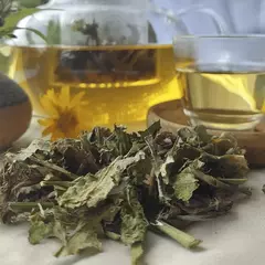 CHÁ DENTE DE LEÃO 300G