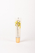 Lip gloss frozen pear - Victoria's Secret