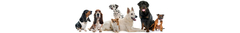 Banner de la categoría Humedos
