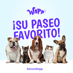 Unik Premium Adulto Mediano/Grande - Somos Wapp