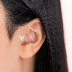Piercing Prat Borboleta Vazada p/ Tragus na internet