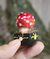 Cogumelo Amanita II no Vasinho