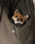 Imagem do Broche Raposinha de Bolso