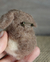 Broche Coelhinho em Lã Feltrada