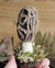 Cogumelo Morel em Lã Feltrada - Milirien Creations