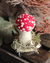 Cogumelo Amanita Jovem em Lã Feltrada