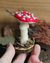 Imagem do Cogumelo Amanita em Lã Feltrada