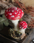 Cogumelos Amanita em Lã Feltrada na internet