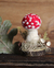 Imagem do Cogumelo Amanita Jovem em Lã Feltrada